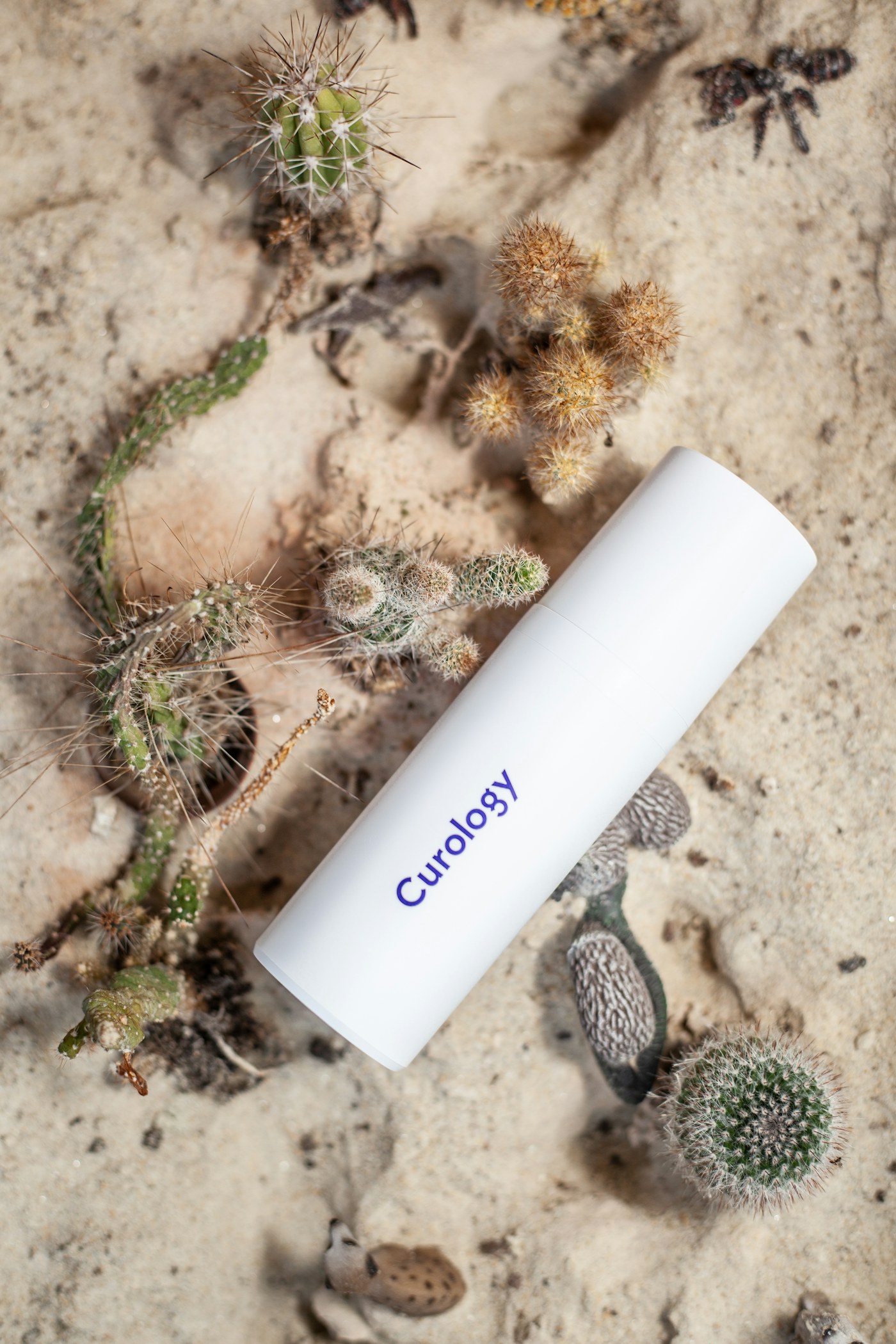 White skincare tube lying on sand among small cacti and dried plants
